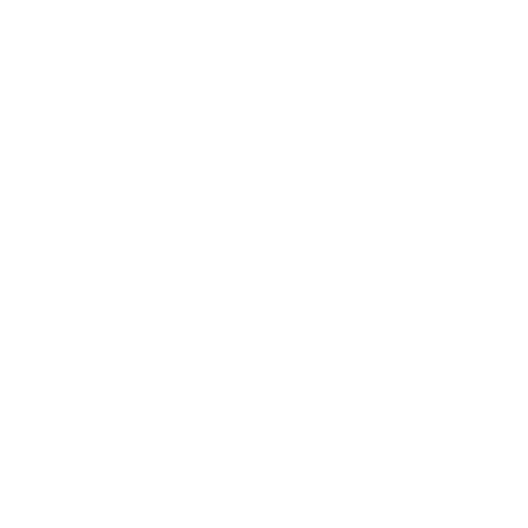 Managed IT Icon