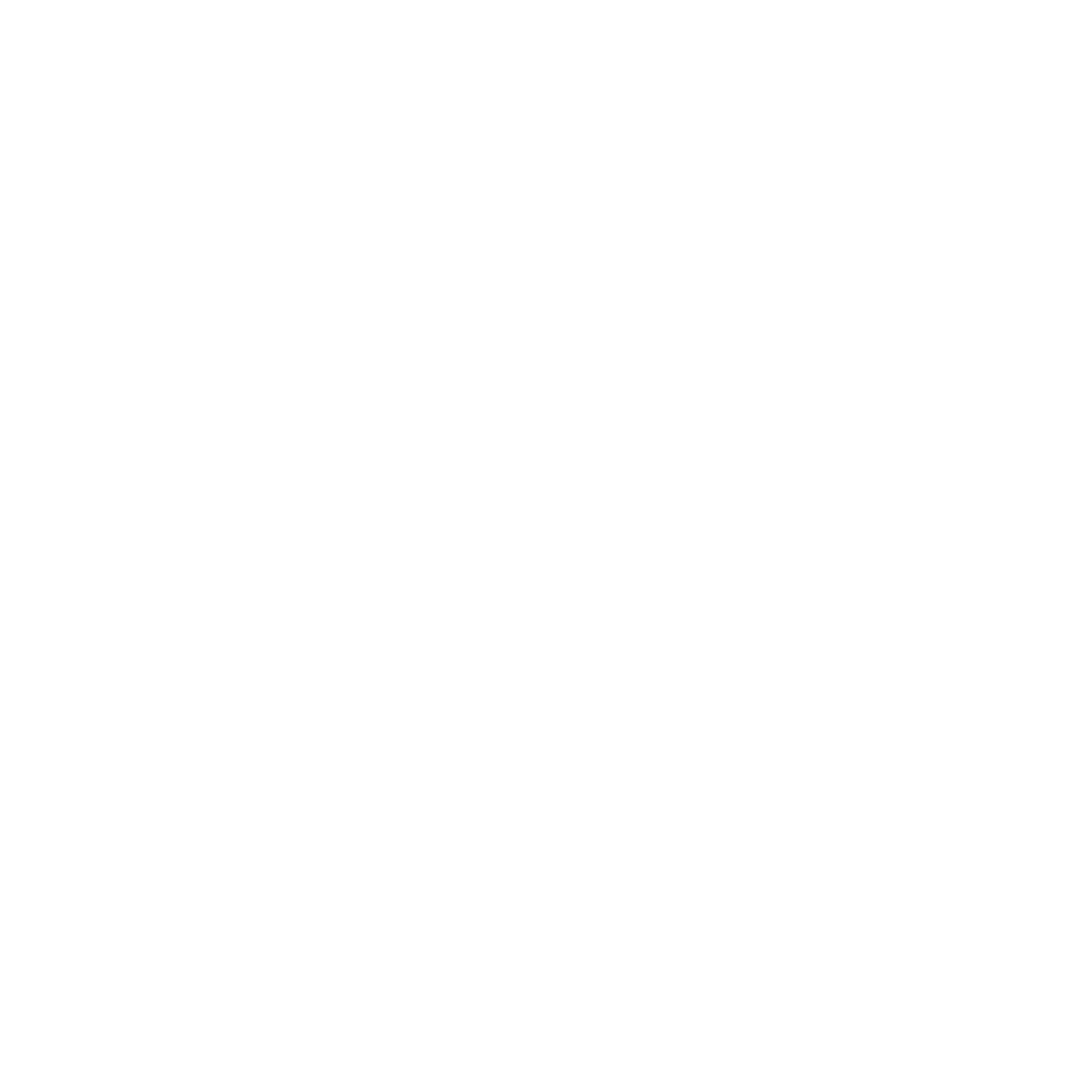 Managed IT Icon